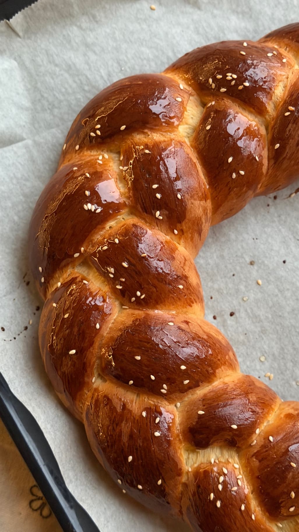 Կաթնահունց - Image 8